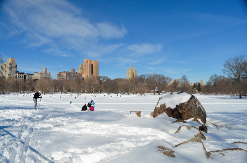 Illustration for article titled Central Park: After the Storm
